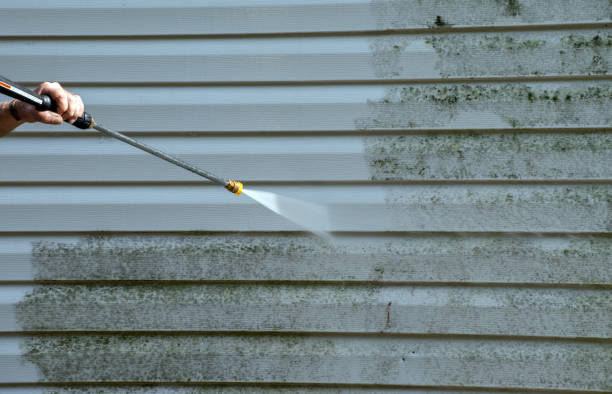 Best Toxic Mold Removal  in Nixa, MO