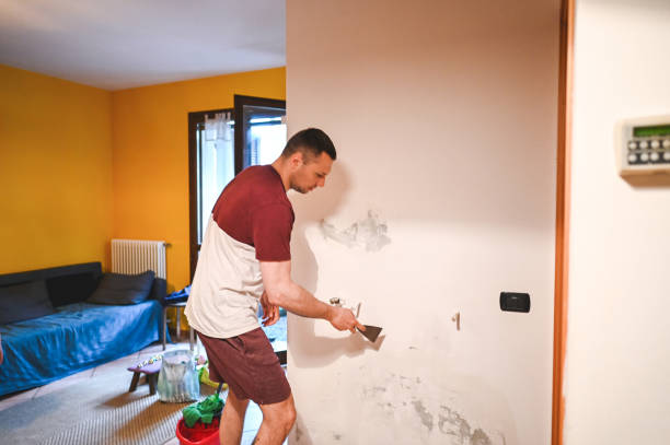 Best Mold Testing and Removal  in Nixa, MO